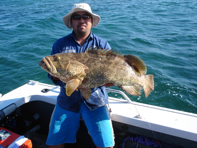 Hedland Fishwrecked - Izzy Cod